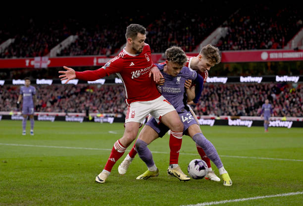 这将是她们 这将是她们